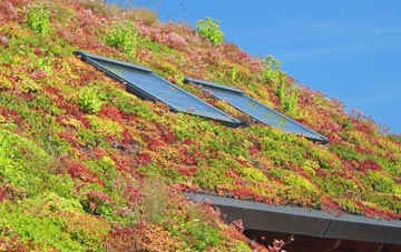 Chilvers Coton living roof systems